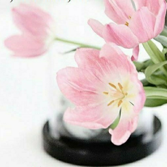 su_boo